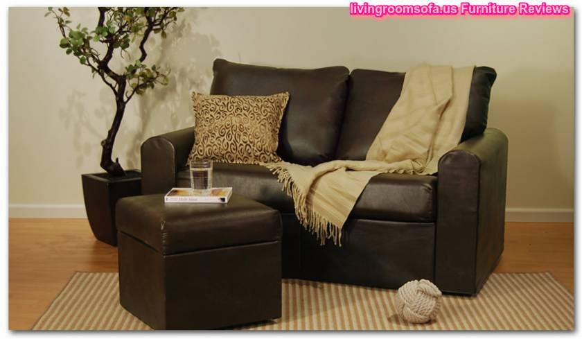 Brown Leather Loveseat Small Spaces
