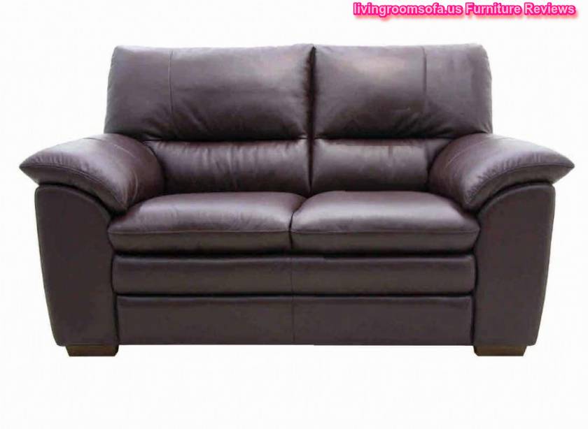  Cheap Leather Home Sofas With Pillows