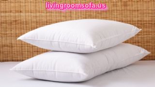 Classic Plush Bed Pillow