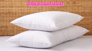  Classic Plush Bed Pillow