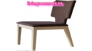 The Most Amazing Brown Chaises Design Ideas