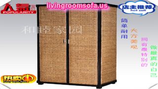  China Rattan Wardrobe Cab Furniture Design