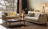 Modern sofa set for small living room Apartment Sofas for Small Spaces