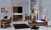 Dark Color Bedroom Ideas For Teenage Boys